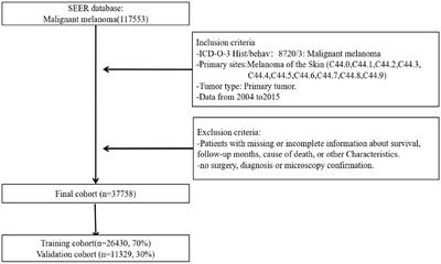 Deep-learning-based survival prediction of patients with cutaneous malignant melanoma